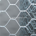 PVC Coted Hexagonal Wire Mesh För Farm